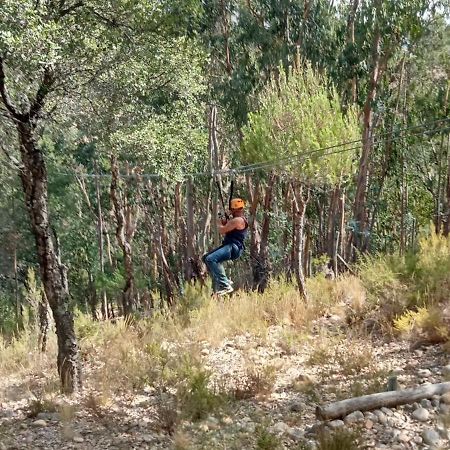 فيلا Quinta Do Outeiro Alto Constância المظهر الخارجي الصورة