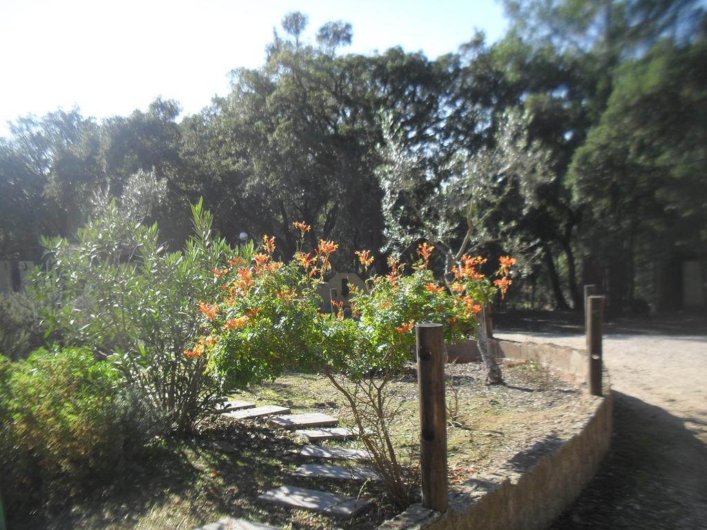 فيلا Quinta Do Outeiro Alto Constância المظهر الخارجي الصورة