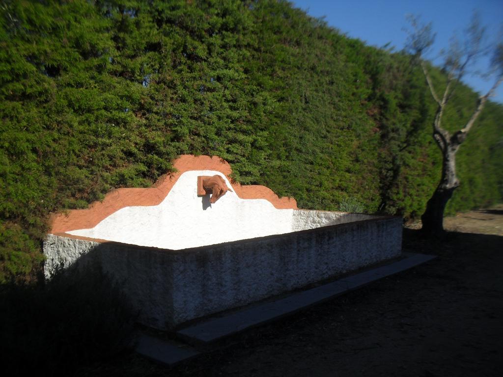 فيلا Quinta Do Outeiro Alto Constância المظهر الخارجي الصورة