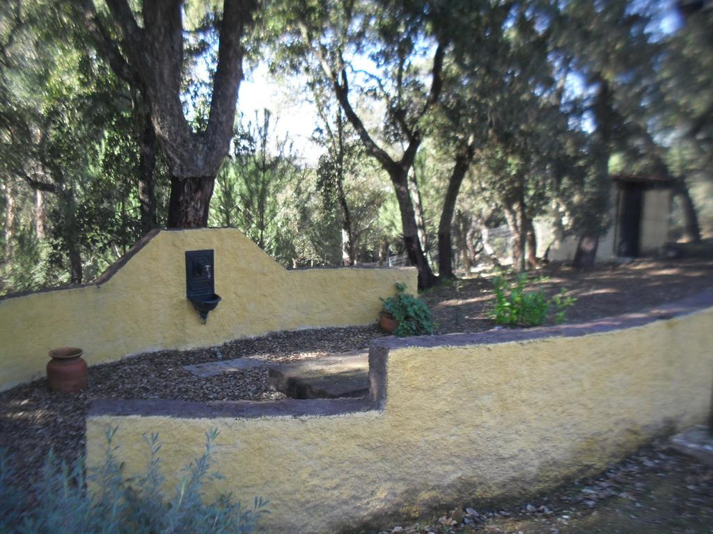 فيلا Quinta Do Outeiro Alto Constância المظهر الخارجي الصورة