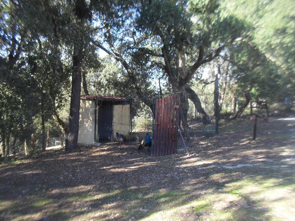 فيلا Quinta Do Outeiro Alto Constância المظهر الخارجي الصورة