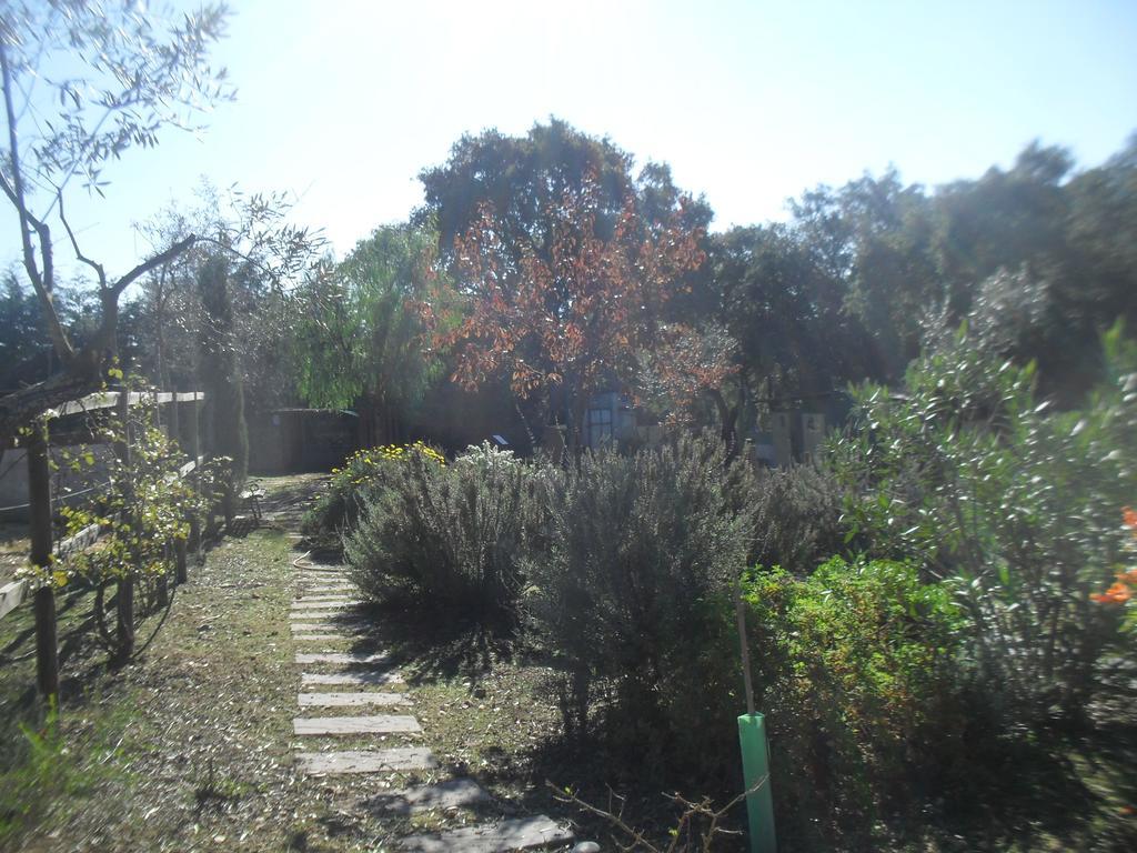 فيلا Quinta Do Outeiro Alto Constância المظهر الخارجي الصورة