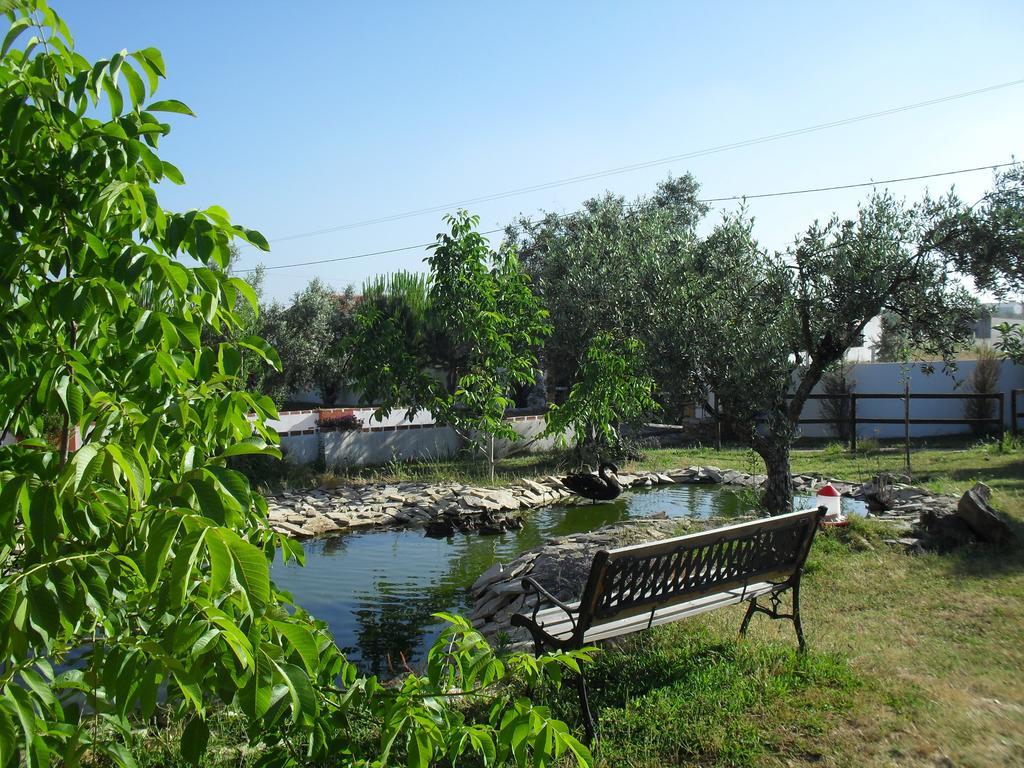 فيلا Quinta Do Outeiro Alto Constância المظهر الخارجي الصورة