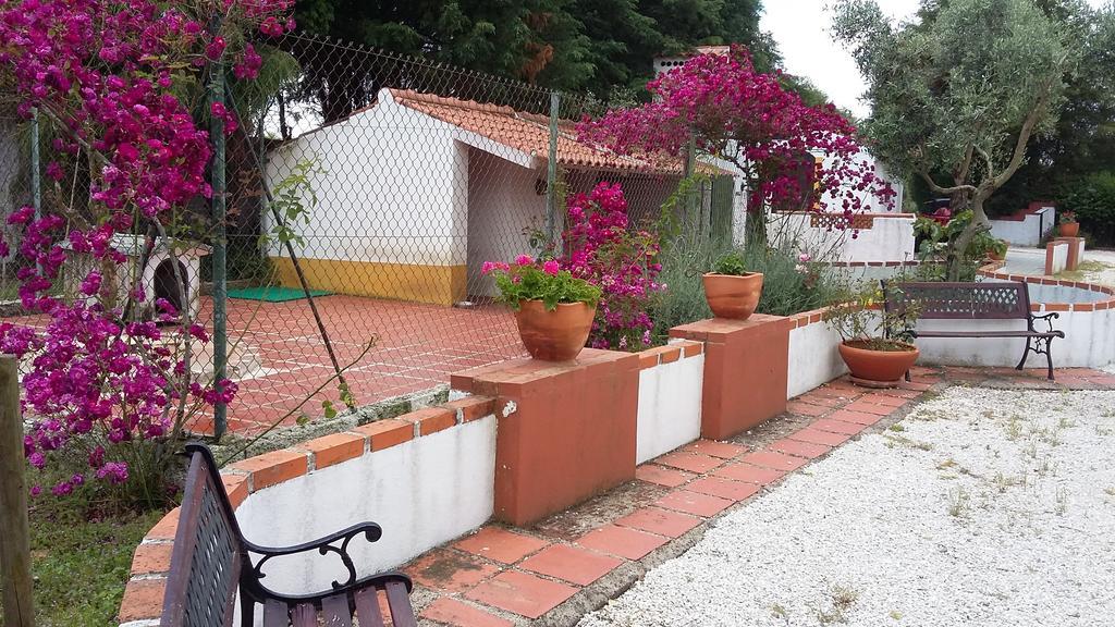 فيلا Quinta Do Outeiro Alto Constância المظهر الخارجي الصورة