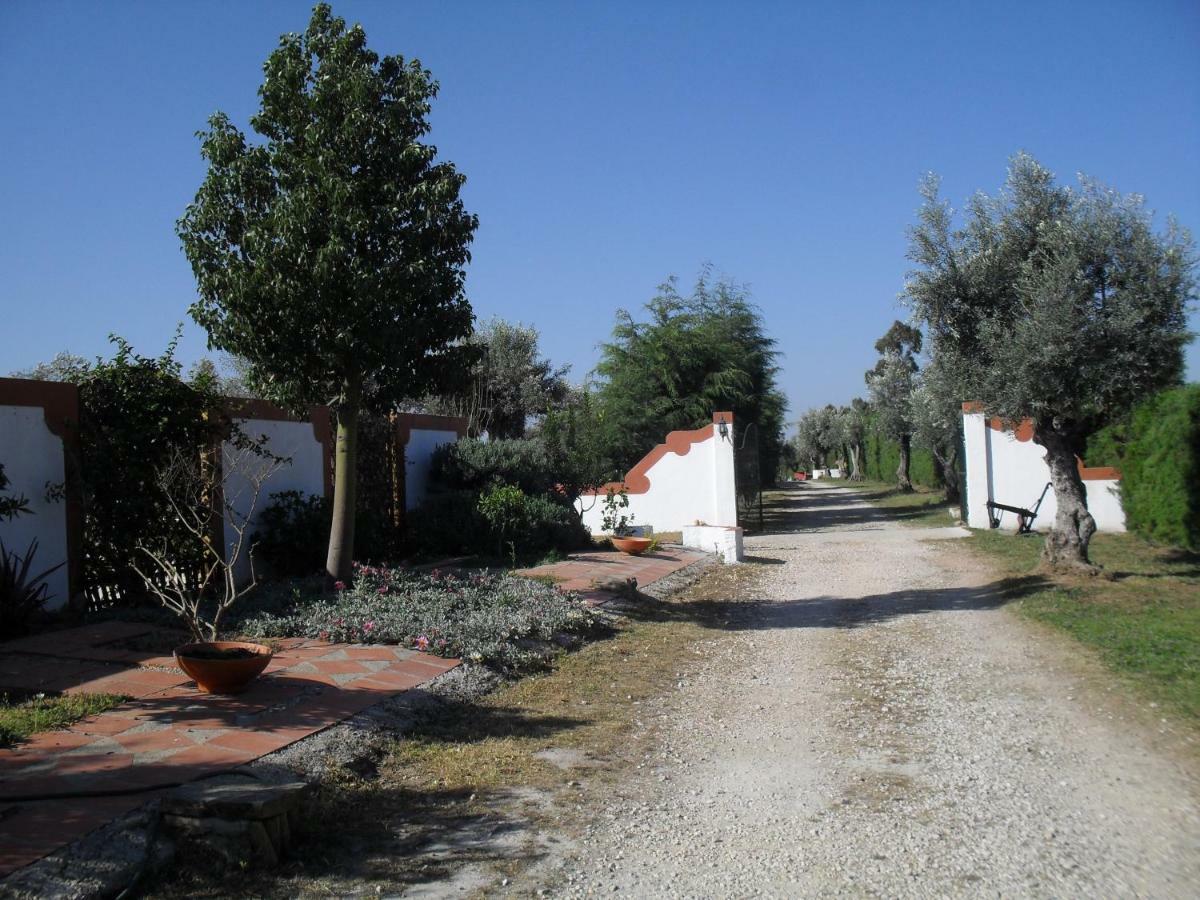 فيلا Quinta Do Outeiro Alto Constância المظهر الخارجي الصورة